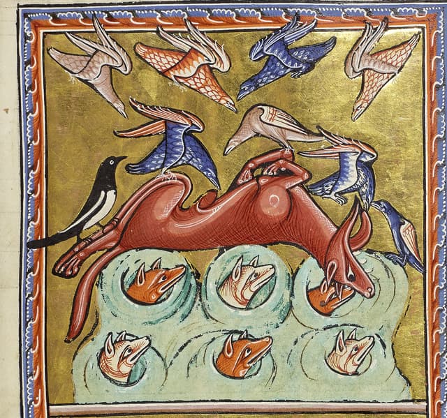 The Fox Who Feigned Death, Unknown English illuminator