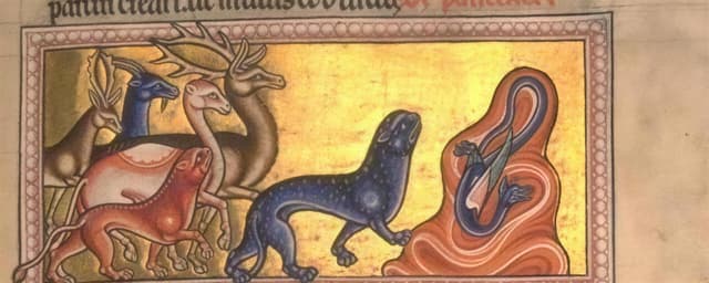 The Panther's Sweet Breath, Unknown English illuminator