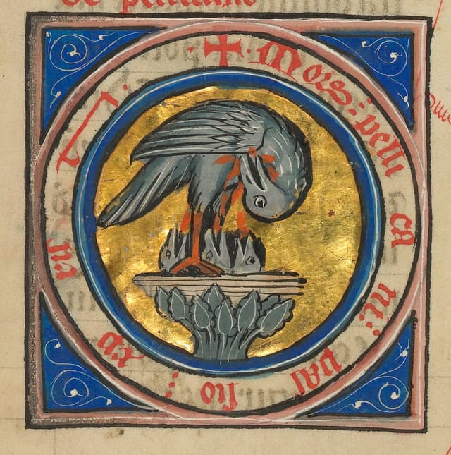 The Pelican in Her Piety, Unknown Franco-Flemish illuminator