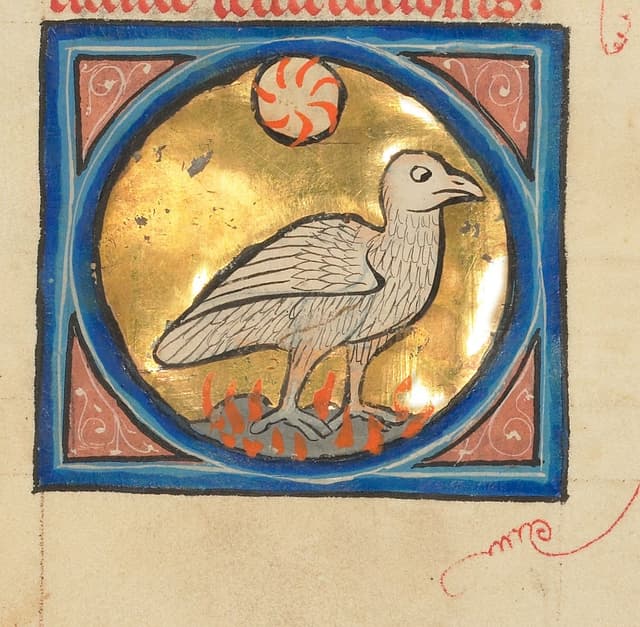 The Phoenix, Unknown Franco-Flemish illuminator