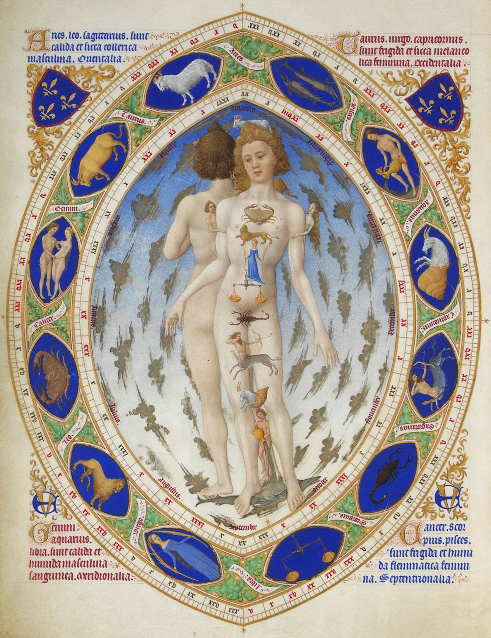 The Anatomical Man