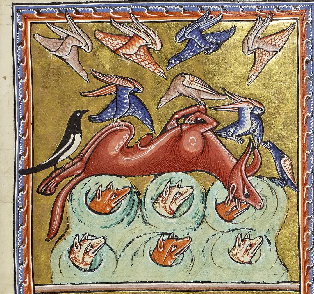 The Fox Who Feigned Death, Unknown English illuminator