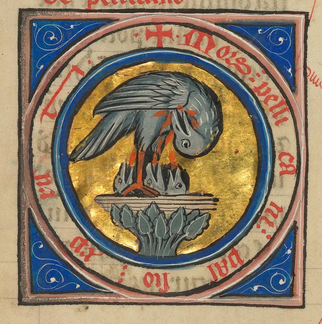 The Pelican in Her Piety, Unknown Franco-Flemish illuminator