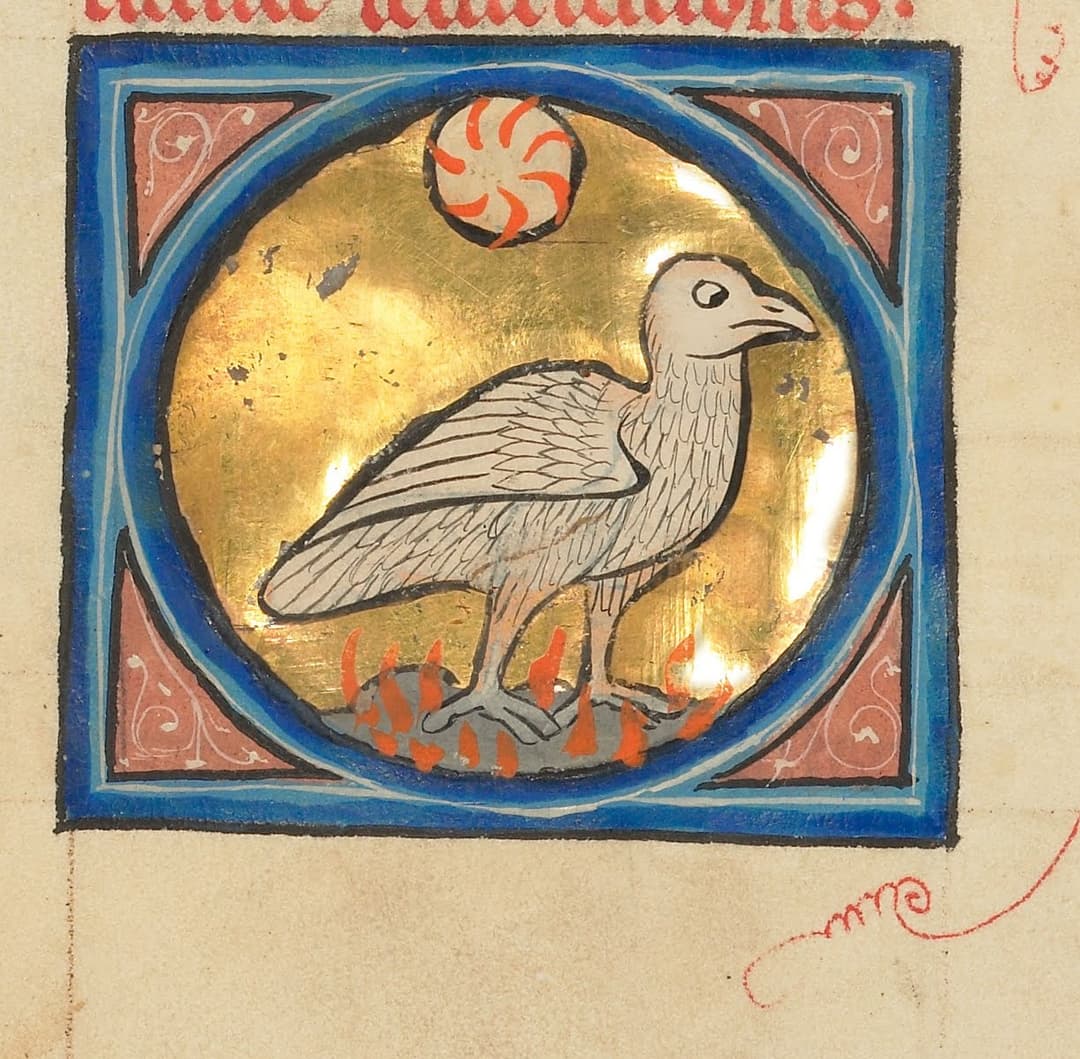 The Phoenix, Unknown Franco-Flemish illuminator