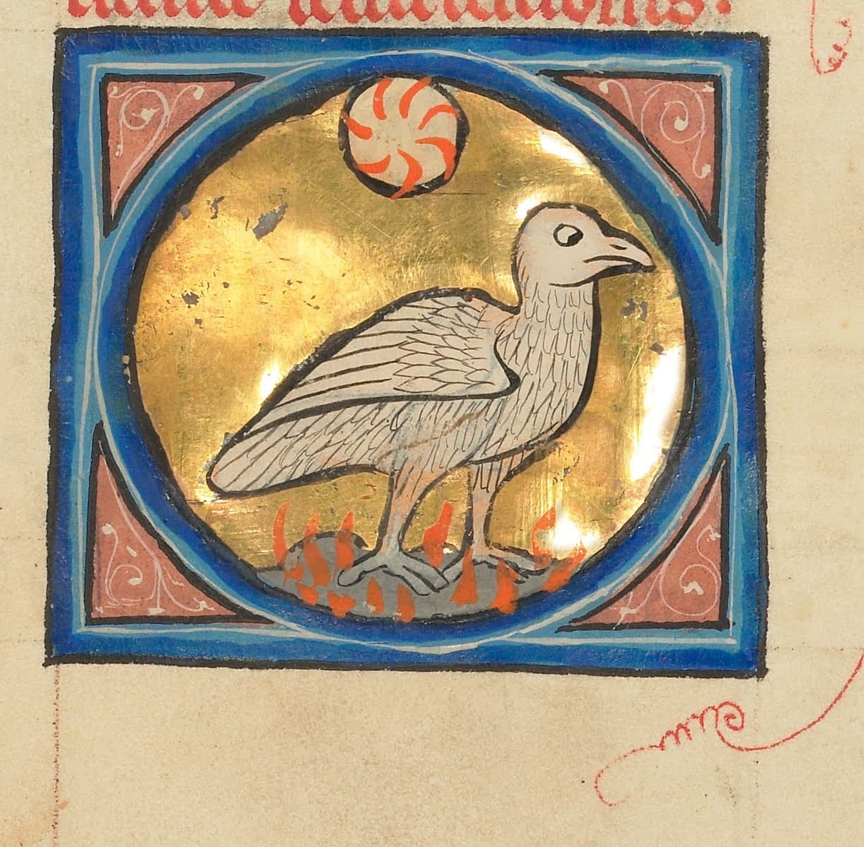 The Phoenix