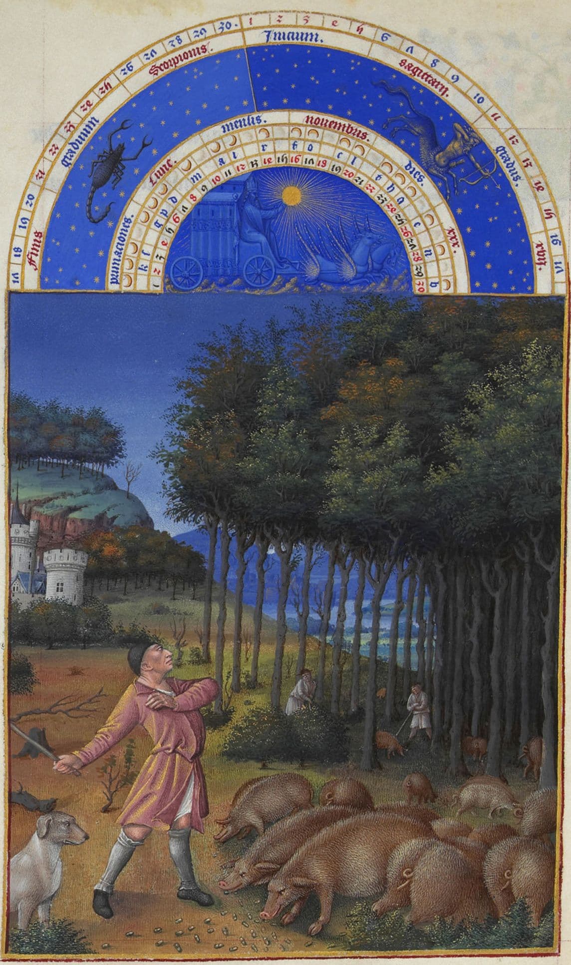 November — Gathering Acorns